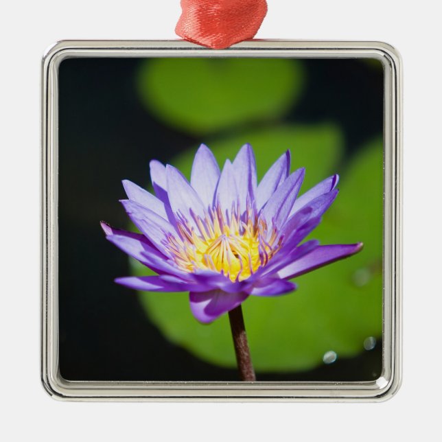 Cancun, Mexiko Julgransprydnad Metall (Framsidan)