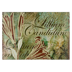 Candidum Lillium