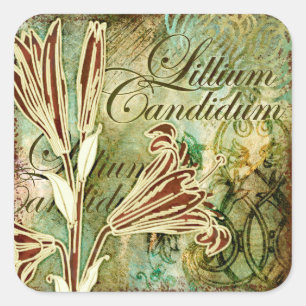 Candidum Lillium Fyrkantigt Klistermärke