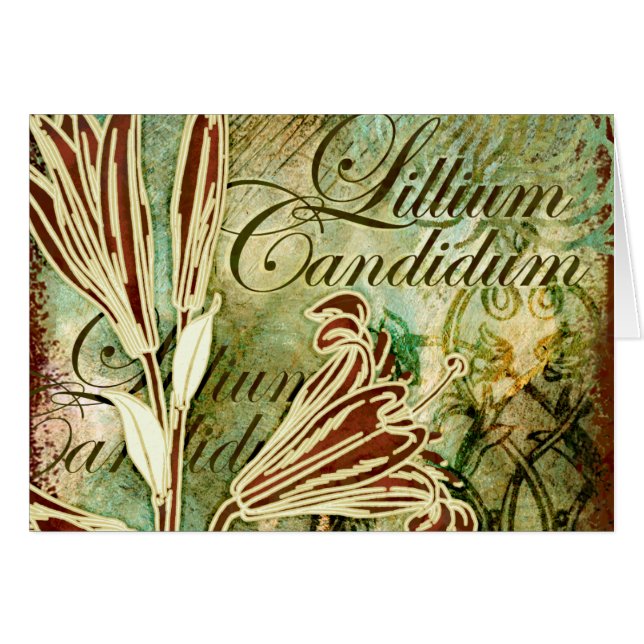 Candidum Lillium Hälsningskort (Framsidan Horizontal)