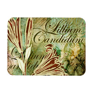 Candidum Lillium Magnet