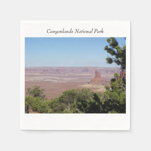 Candlestick Torn, Canyonlands nationalpark Pappersservett