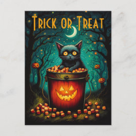 Candy Bucket och Black Cat Halloween Vykort