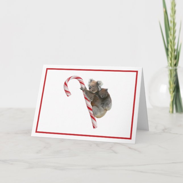 Candy cane Australian Koala Bears Helgdag Card Helgkort (Framsida)