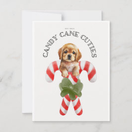 Candy cane Cuties Hund Julkort