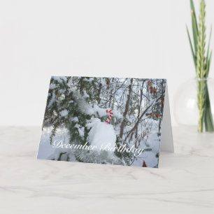 candy cane Dekoration-decemberfödelsedagen Kort