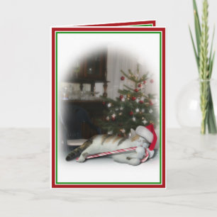 Candy cane Kattunge jul Helgkort