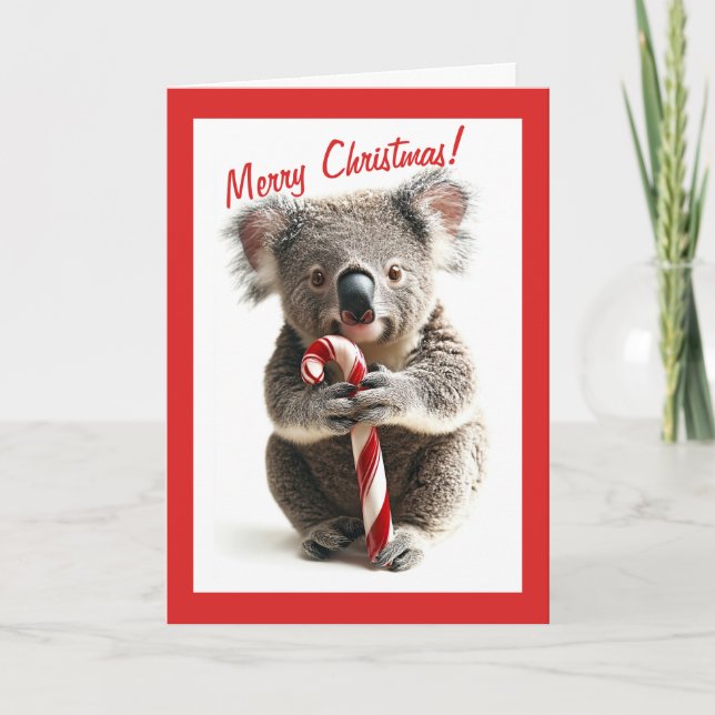 Candy cane Koala-julkort Kort (Framsida)