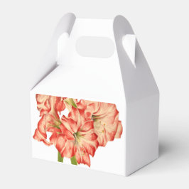 Candy cane Lilies på en favoritruta Presentaskar