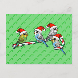 Candy cane Santa Budgies Helg Vykort