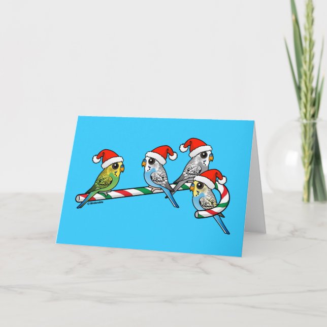 Candy cane Santa Budgies Helgkort (Framsida)