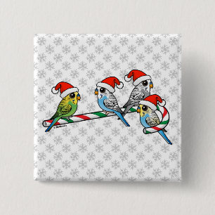 Candy cane Santa Budgies Knapp