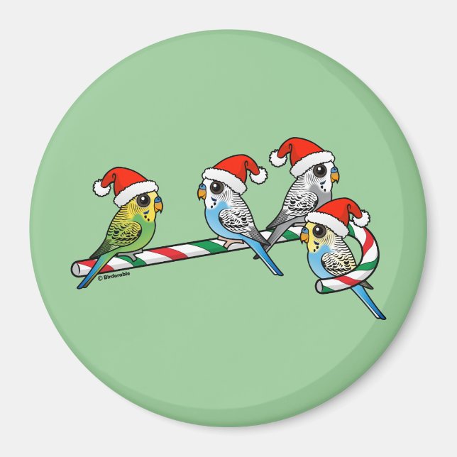Candy cane Santa Budgies Magnet (Framsidan)
