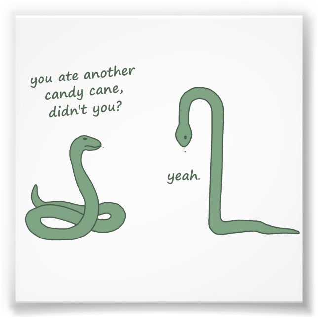 Candy cane Snake Fototryck (Framsidan)