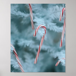 Candy cane vid Träd Poster