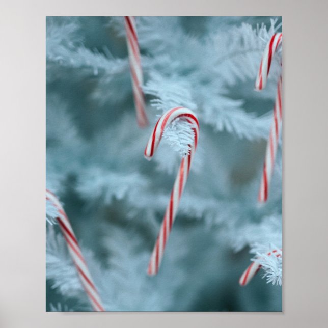 Candy cane vid Träd Poster (Framsidan)