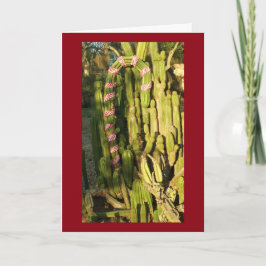 Candy canekaktus helgkort