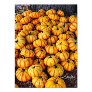 Candy Corn Fototryck