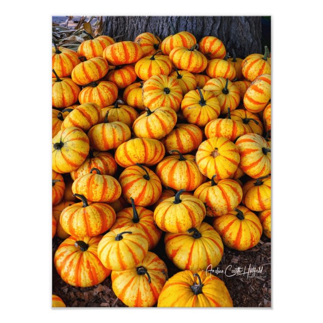 Candy Corn Fototryck (Framsidan)