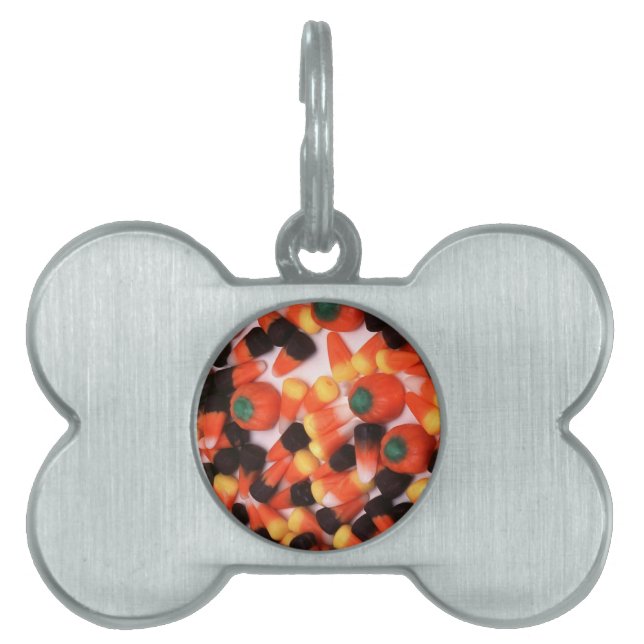 Candy corn och Pumpkins ID-bricka Husdjur (Framsidan)