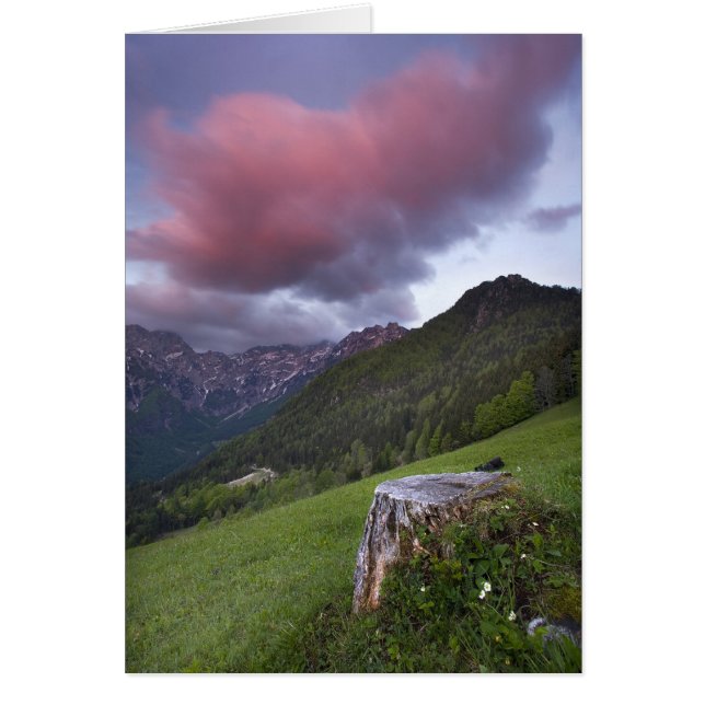 Candy Floss Cloud Hälsningskort (Framsidan)