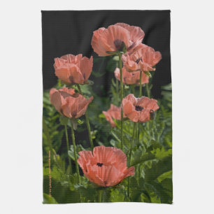 Candy Pops Kitchen Towel Kökshandduk