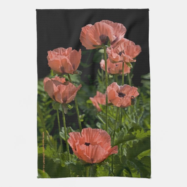 Candy Pops Kitchen Towel Kökshandduk (Vertikal)