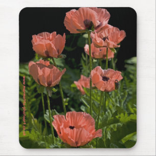 Candy Pops Mousemat Musmatta