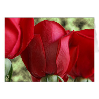 candy ro hälsningskort