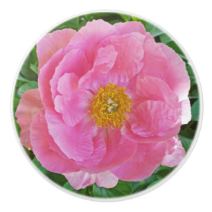CANDY-ROSA PEONY KNOPP