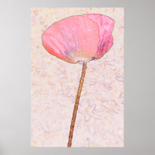Candy rosa poppy ...affisch poster