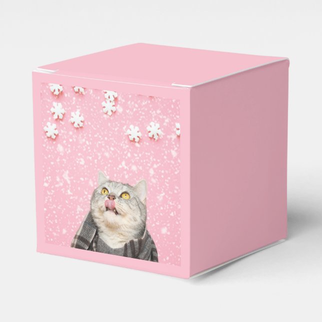 Candy Snowflake Cat Presentaskar (Framsidan Sidan)