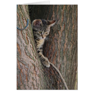 Candy The Cat Hälsningskort