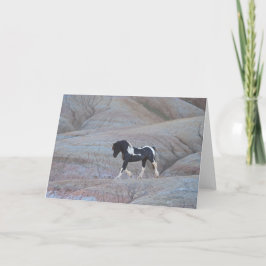 "Candyland"-anteckningskort Kort