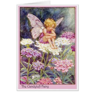 Candytuft Fairy Hälsningskort