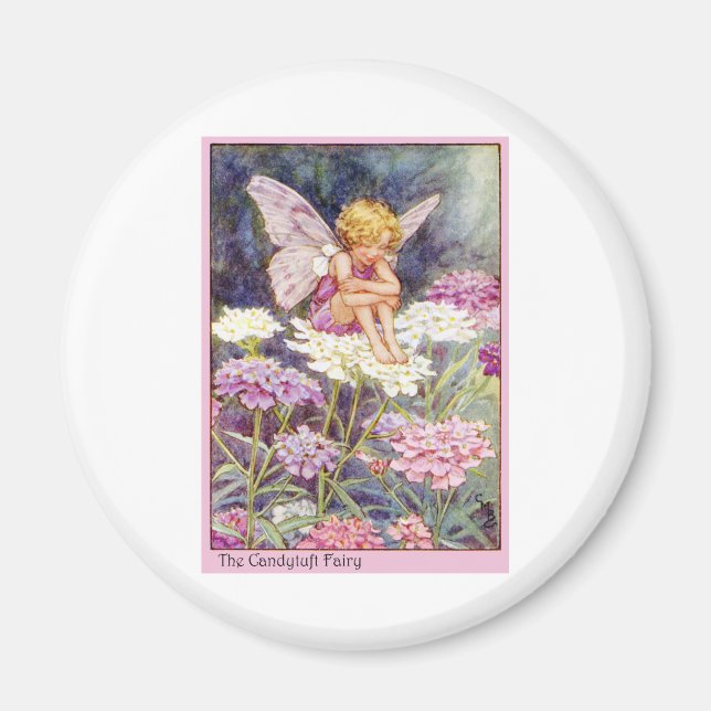 Candytuft Fairy Magnet (Framsidan)