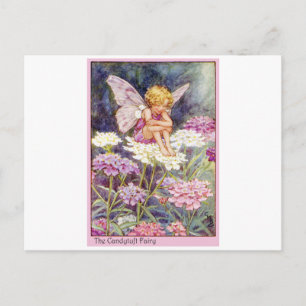 Candytuft Fairy Vykort