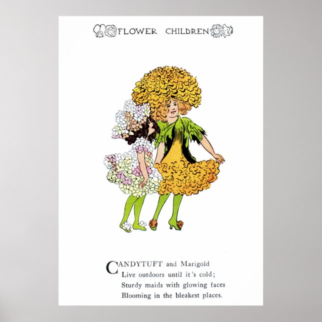 Candytuft och Marigold Poster (Framsidan)