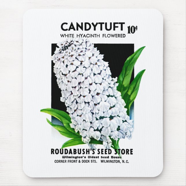 CandyTuft Seed Packet Label Musmatta (Framsidan)
