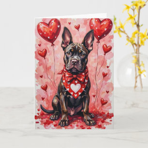 Cane Corso Alla Hjärtans Dag Hund Sitter Med Hjärt Kort