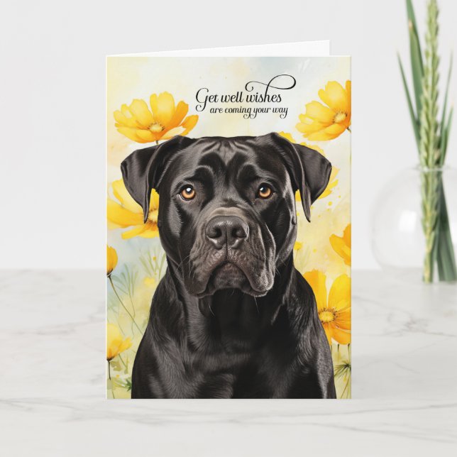 Cane Corso Dog Golden Poppies Get Well Kort (Framsida)