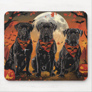 Cane Corso Halloween Kuslig Musmatta