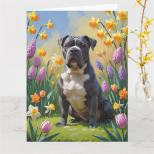 Cane Corso Hund Vårblommor Målning Kort