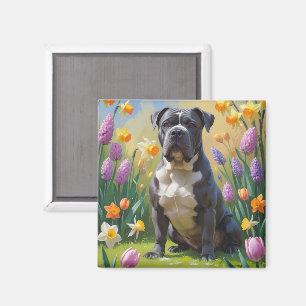 Cane Corso Hund Vårblommor Målning Magnet