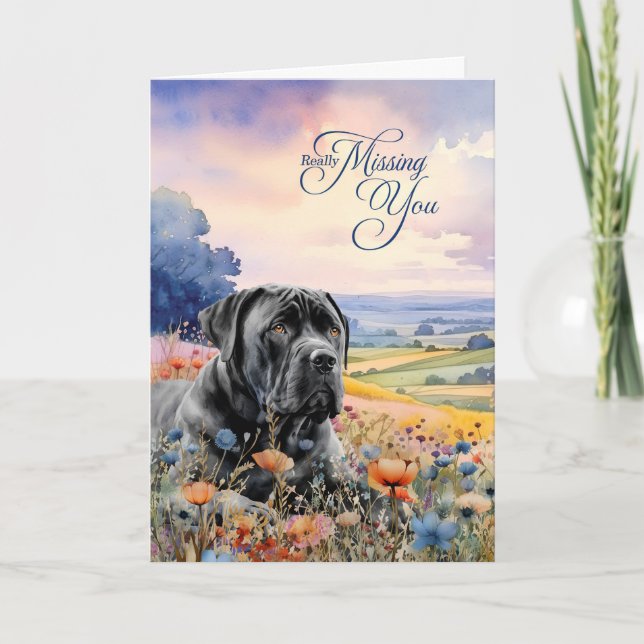Cane Corso Hund Vilda Blommor Naturskön Vy Saknar  Kort (Framsida)