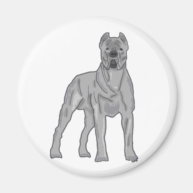 Cane Corso Magnet (Framsidan)