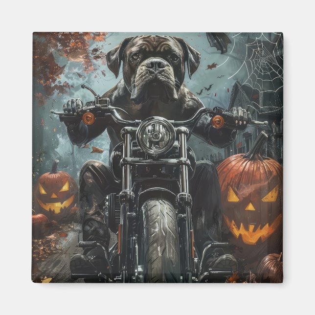 Cane Corso Ridande Motorcykel Halloween Skräckinja Magnet (Framsidan)