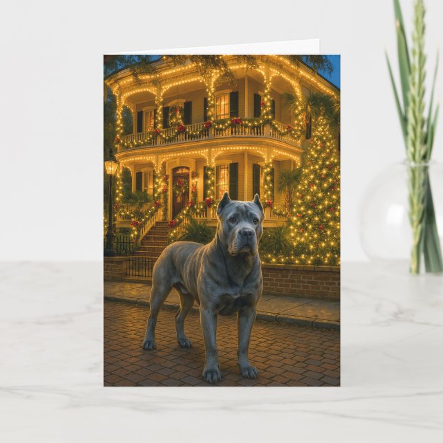 Cane Corso Semester  Helgkort (Framsida)