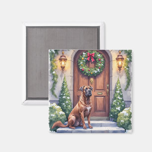 Cane Corso Stor Dörr Ständigt Grön Jul Konst Magnet