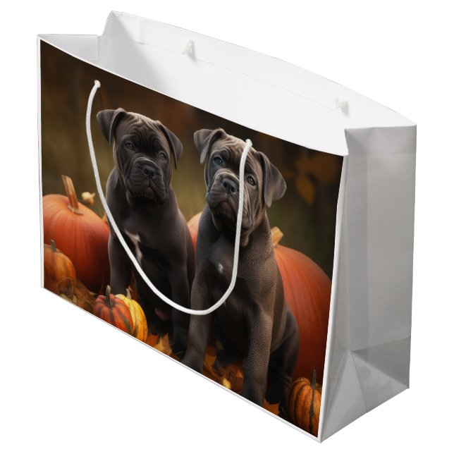 Cane Corso Valp Höstglädje Pumpa (Baksidan Vinklad)